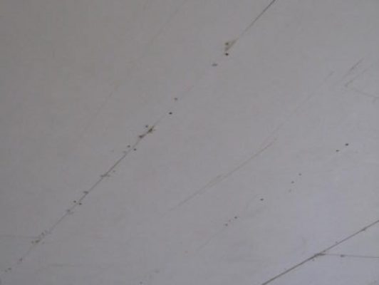 Estructura falsos techos independientes para compartimentación