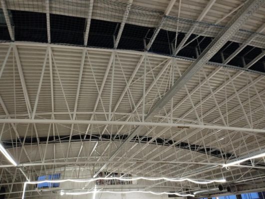 Sede-Bimba-y-Lola-obra5