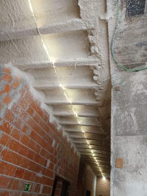 WhatsApp Image 2024-12-02 at 13.56.15 (1)