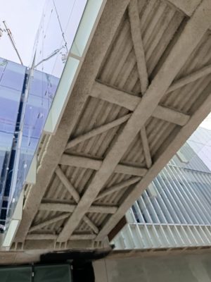 WhatsApp Image 2024-12-02 at 13.56.16 (3)